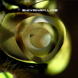 Shivanam live
